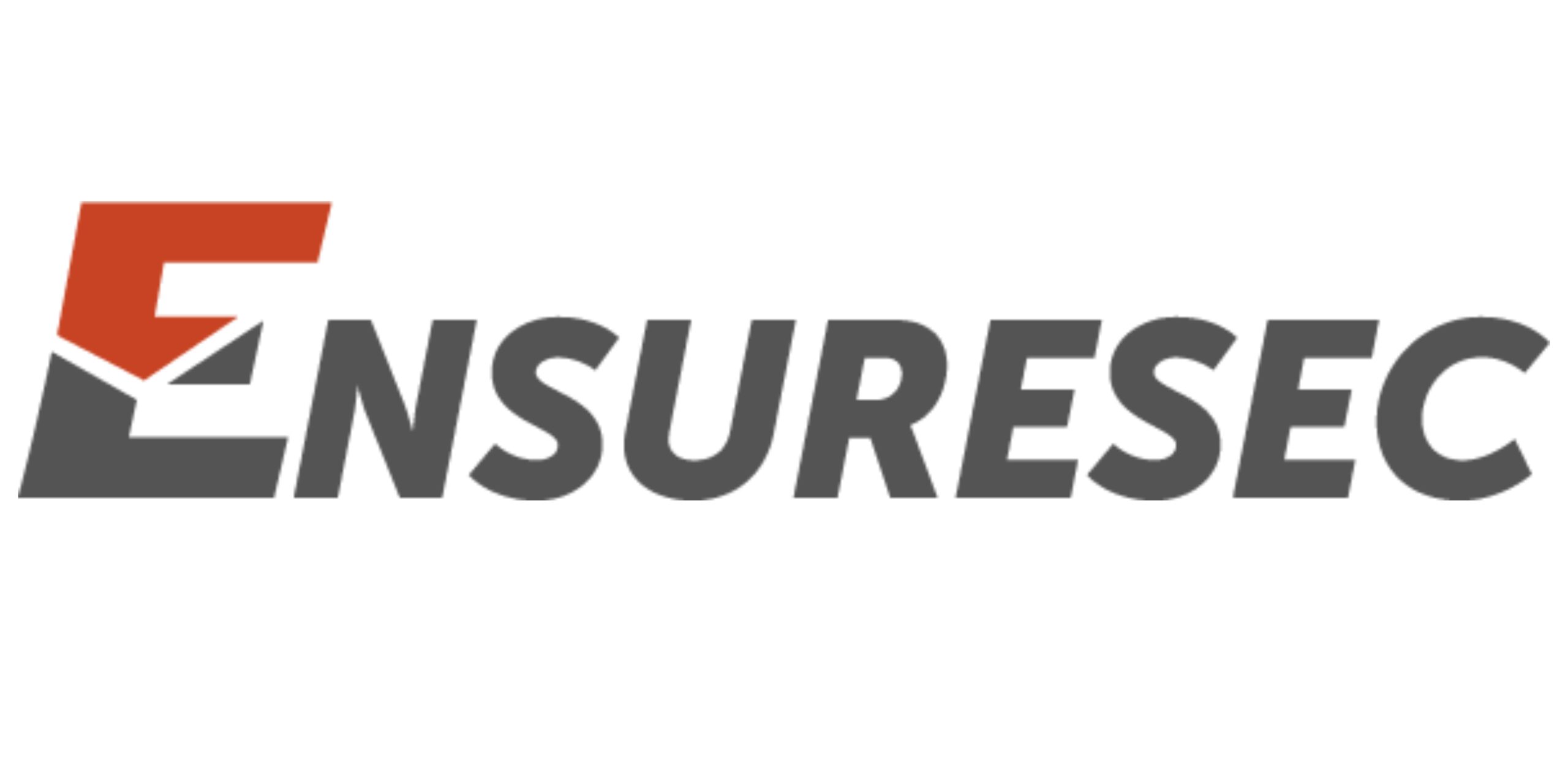ENSURESEC logo cropped