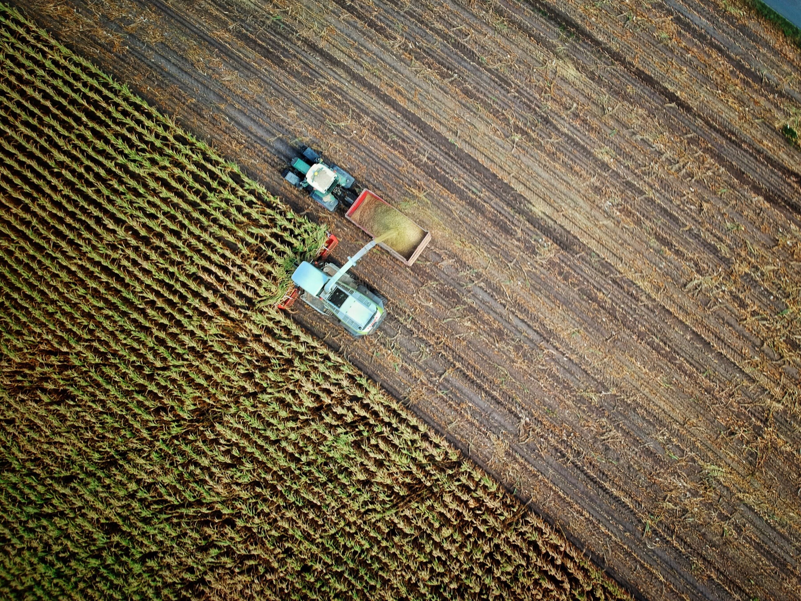 no-one-cares-l_5MJnbrmrs-unsplash AgriBIT